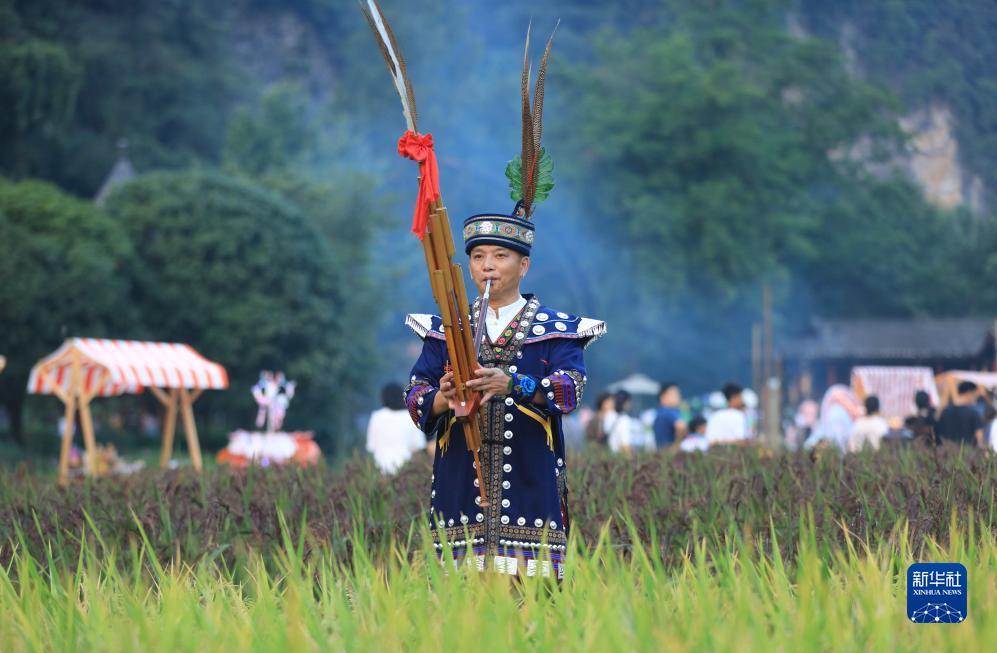 柚子夺宝金币提到什么地方
